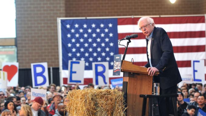 bernie sanders supporters skip sign wars canvass instead