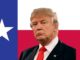 trump at risk of losing texas